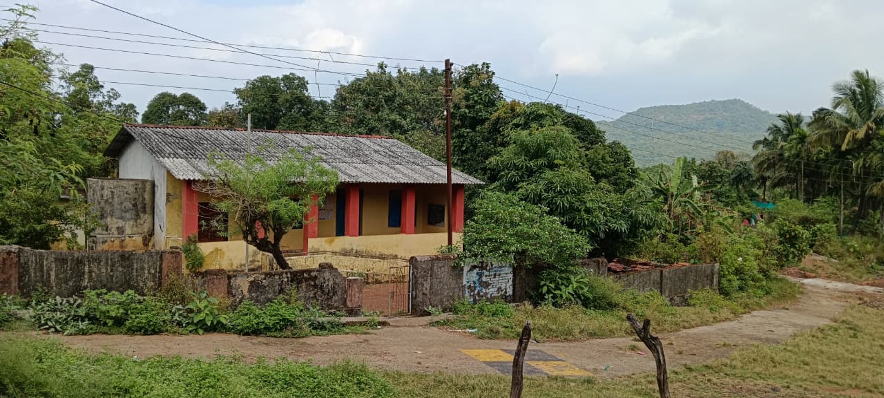 वन महोत्सव